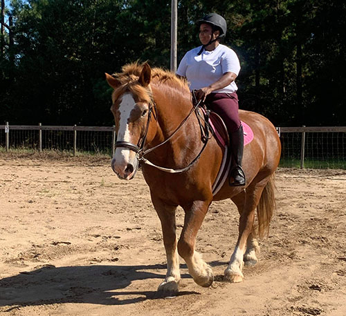 A fun ride on a big draft horse.